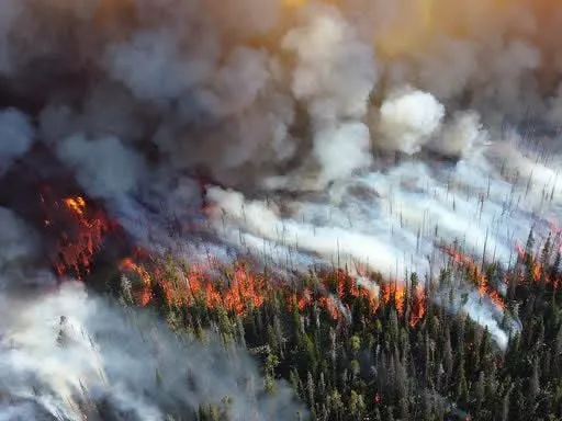 Bomberos de Torreón capacitan a 20 elementos para combatir incendios forestales