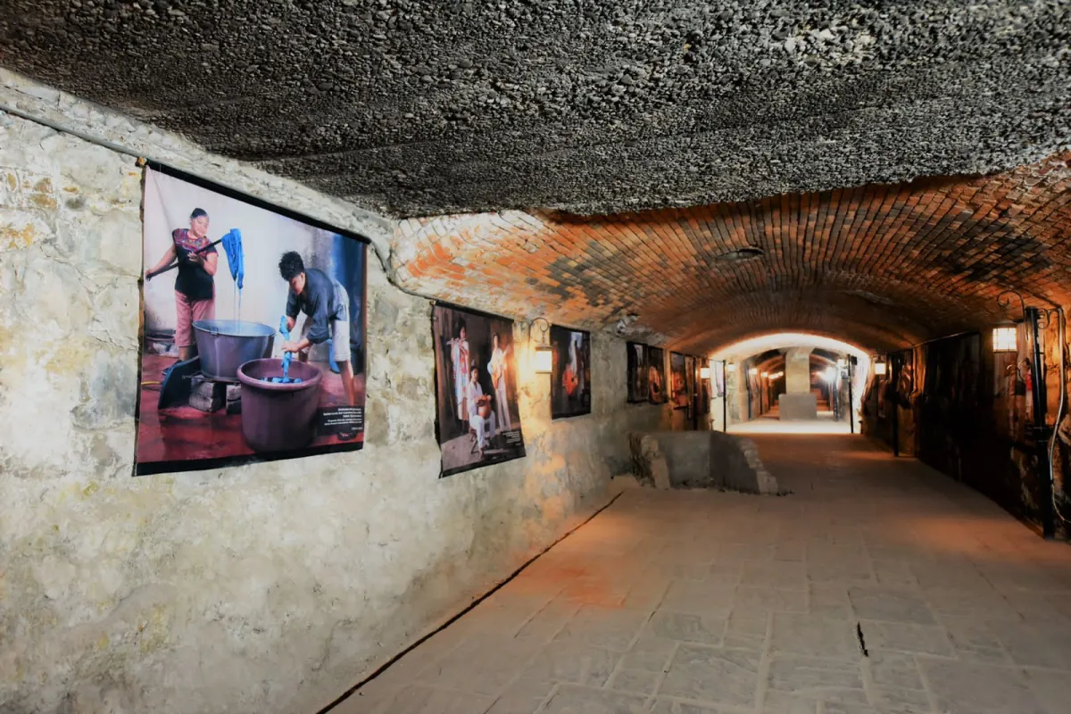Museos de Torreón se activan en vacaciones con agenda cultural para toda la familia