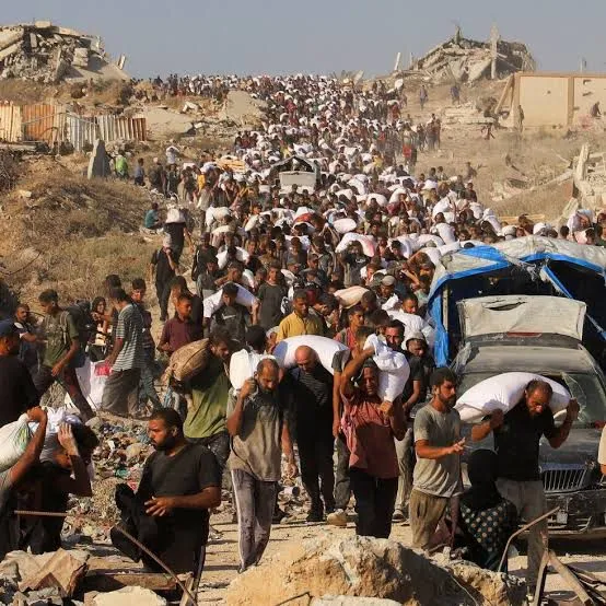 Gaza acusa a Israel de bloquear 22 mil camiones de ayuda humanitaria