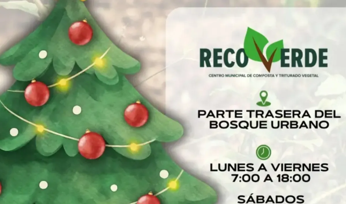 Recoverde convierte árboles navideños en recurso ecológico para áreas verdes de Torreón