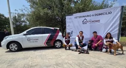 Pone en marcha veterinario móvil gratuito para cuidar mascotas en casa en Santa Catarina