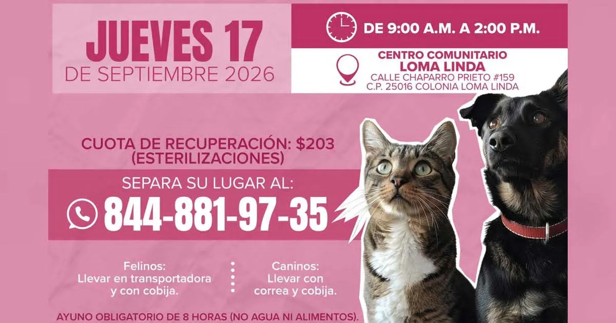 Jornada para perros y gatos será este jueves en Saltillo
