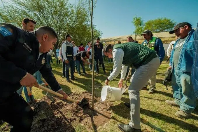 Arranca programa “Torreón Más Verde” con jornada de reforestación