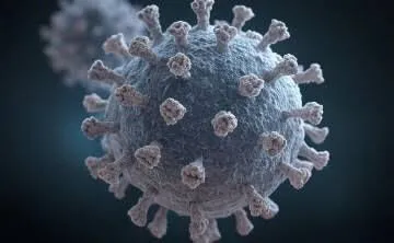 Confirman Primer Caso en México de Influenza Aviar en Humano en La Laguna