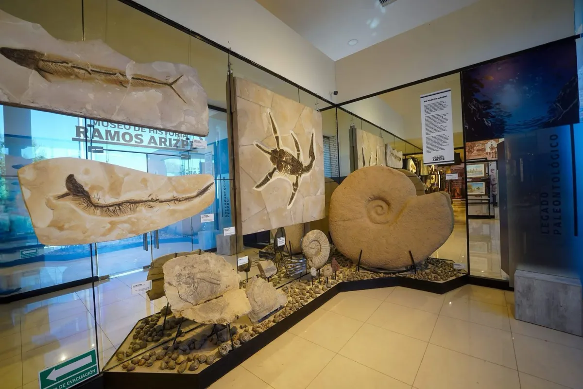 Museo de Historia de Ramos Arizpe rompe récord de visitantes en julio y consolida al turismo como motor local