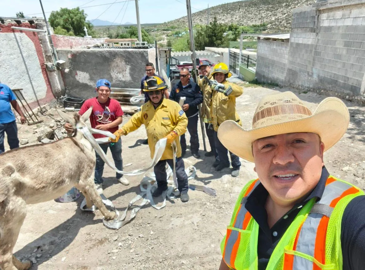 Bomberos de Saltillo rescatan a burrita atrapada en fosa en el sur de la ciudad