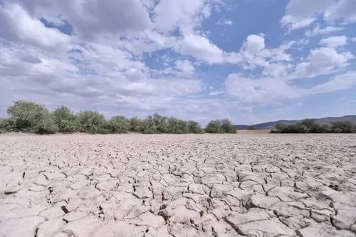 Sequía golpea al campo de Coahuila