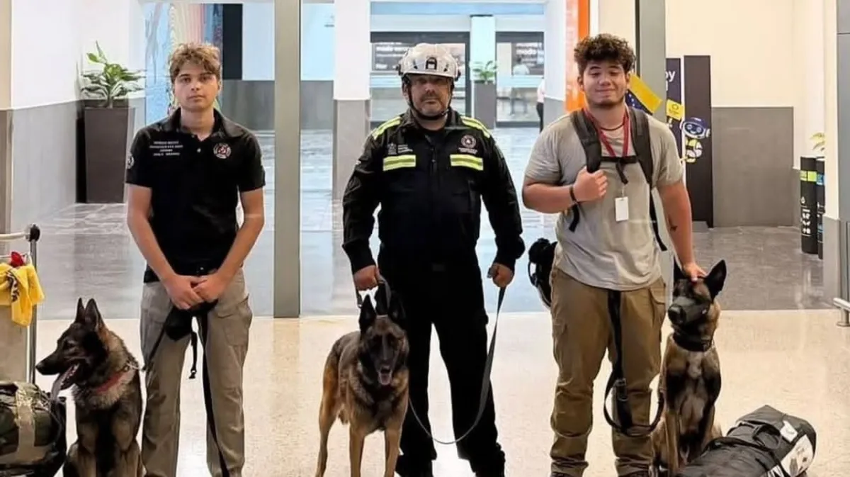 Binomios K9 de Santa Catarina apoyan labores de rescate en Venezuela con 10 marcajes positivos