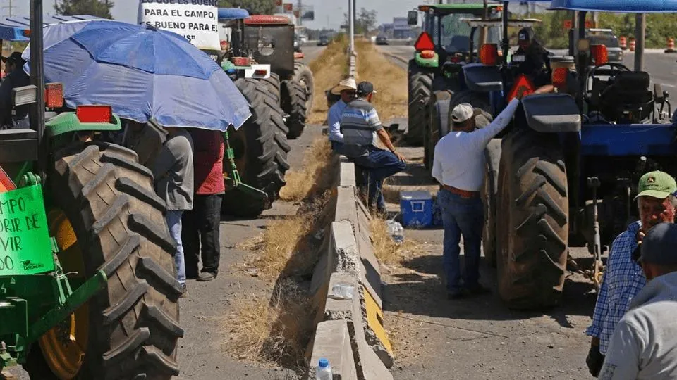“No hay acuerdo por el precio del maíz”: productores y agricultores desmienten a Julio Berdegué