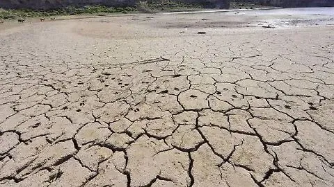 Crisis hídrica en Coahuila: 28 municipios afectados por sequía sever