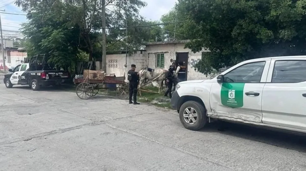 Arranca operativo contra maltrato animal y basura clandestina en Nuevo León