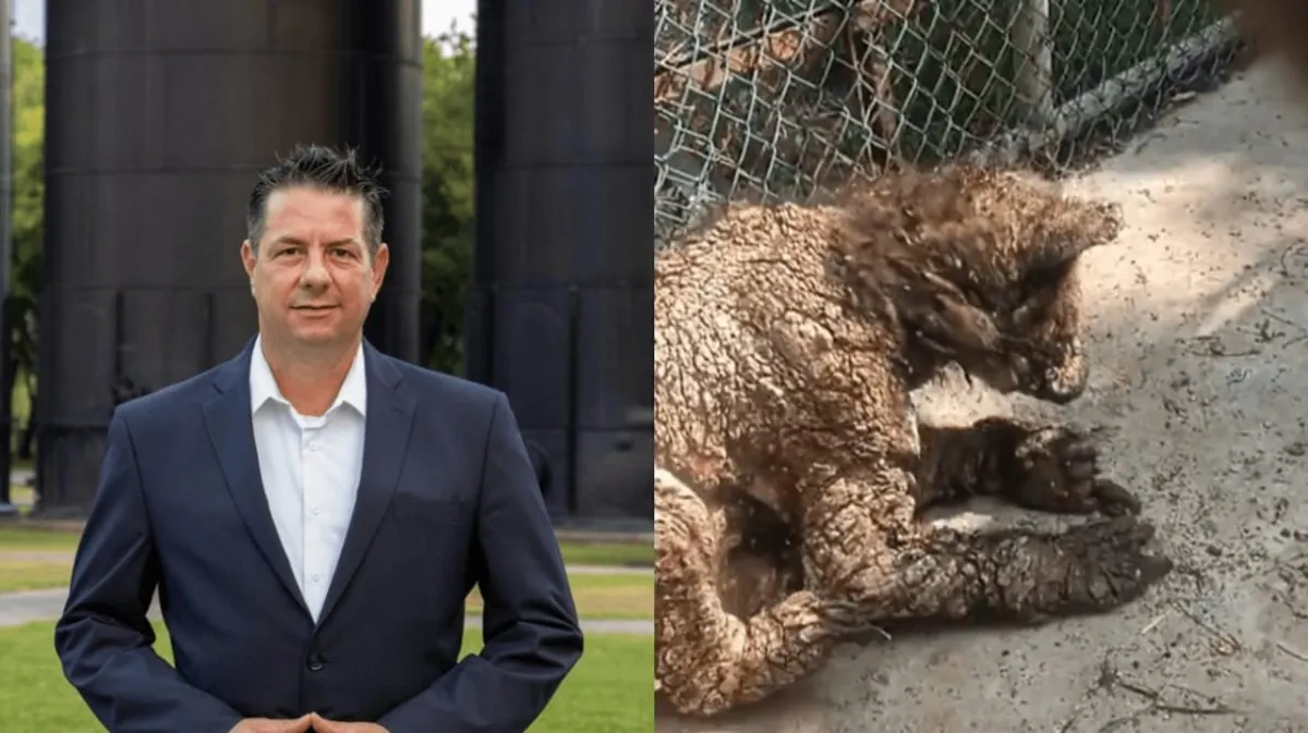Investigan caso de osezna ‘Mina’ y separan a directivo del zoológico La Pastora
