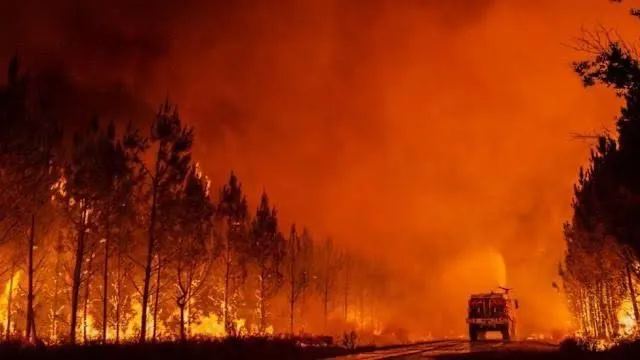 Francia enfrenta uno de los incendios más devastadores del año; ya arrasó 13 mil hectáreas