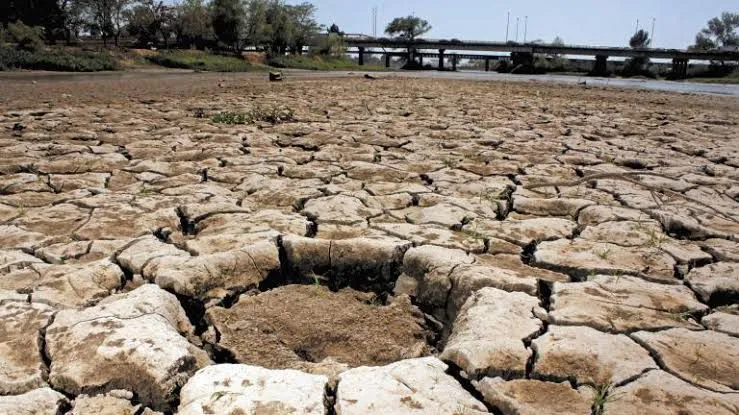 Sequía continúa afectando a Coahuila y Durango a pesar de las lluvias registradas en julio