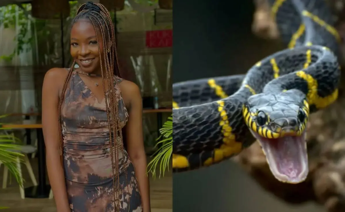 Fallece ex participante de La Voz Nigeria tras ser mordida por una serpiente mientras dormía