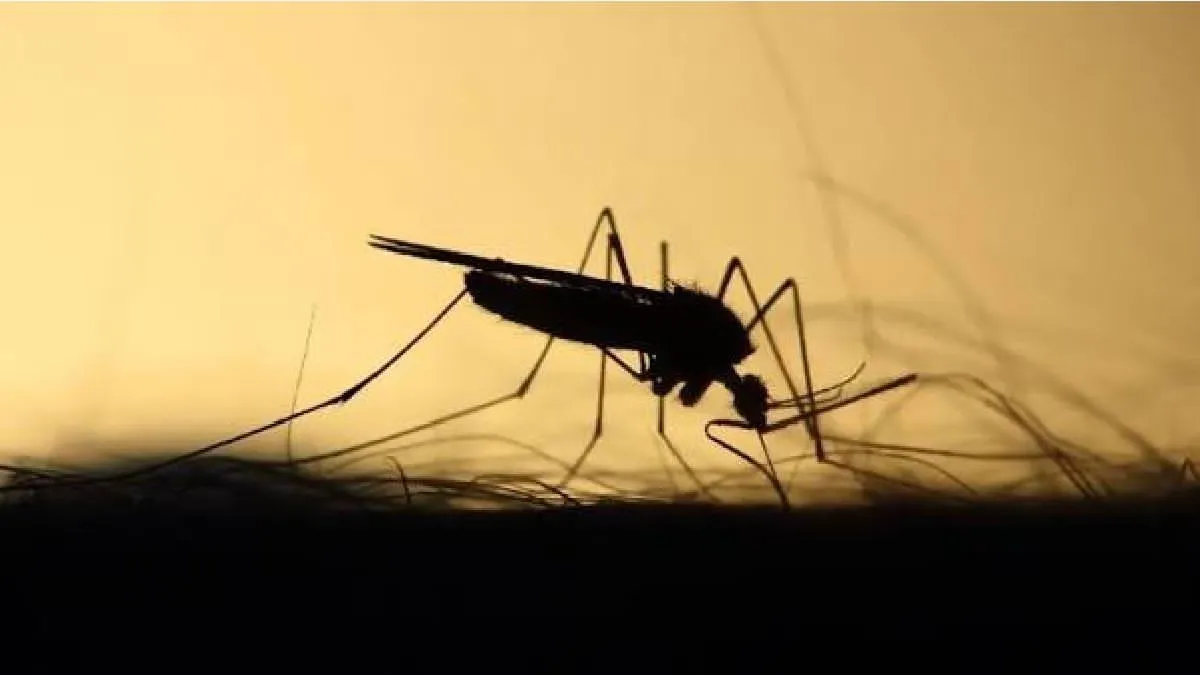 Confirman caso importado de malaria en Jalisco durante el Mundial 2026