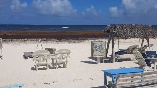Tulum enfrenta crisis turística: baja ocupación, disculpas públicas y reclamos por abusos