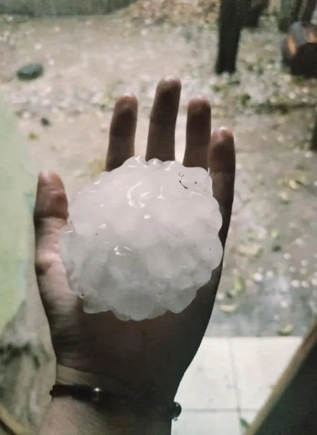 Granizada deja daños materiales en General Cepeda