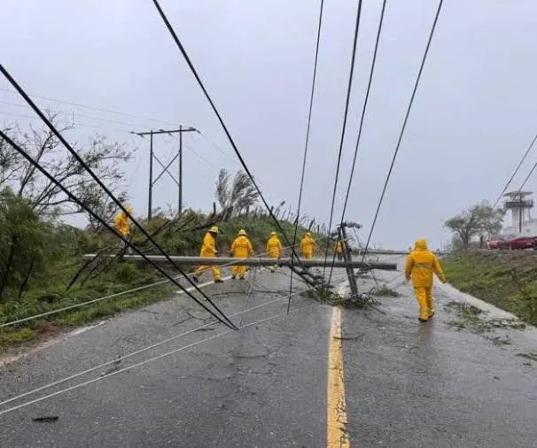 CFE restablece más de la mitad del servicio eléctrico tras paso del huracán “Erick”
