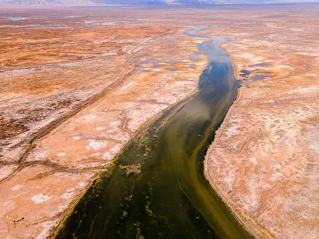 Tensión por el agua: Tamaulipas, Chihuahua y Coahuila se niegan a entregarla a EE.UU.
