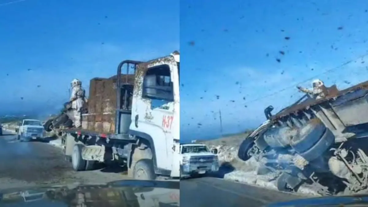 Volcadura en Nuevo León libera miles de abejas y activa alerta en carretera a Doctor Arroyo