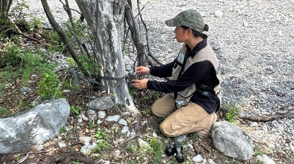 Mantienen vigilancia contra el gusano barrenador en fauna silvestre de Nuevo León