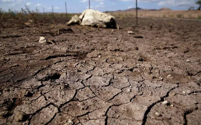 Se Intensifica Sequía en Coahuila