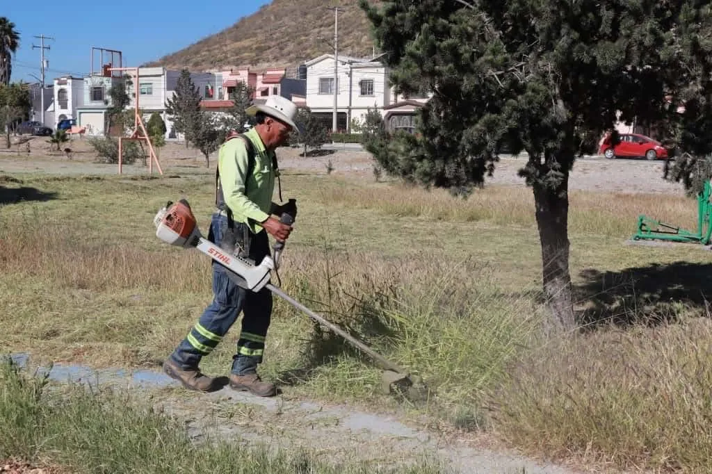 Realiza Gobierno de Saltillo jornada de reforestación y limpieza en colonias del sur y norte de la ciudad