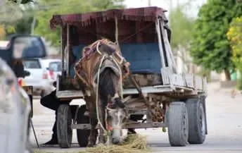 Torreón acelera su modernización y deja atrás los carromatos