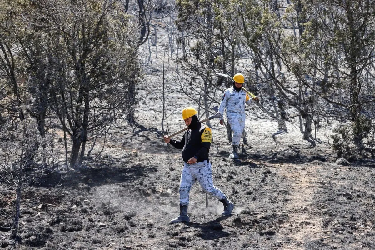 Liquidan Incendio en la Sierra de Arteaga