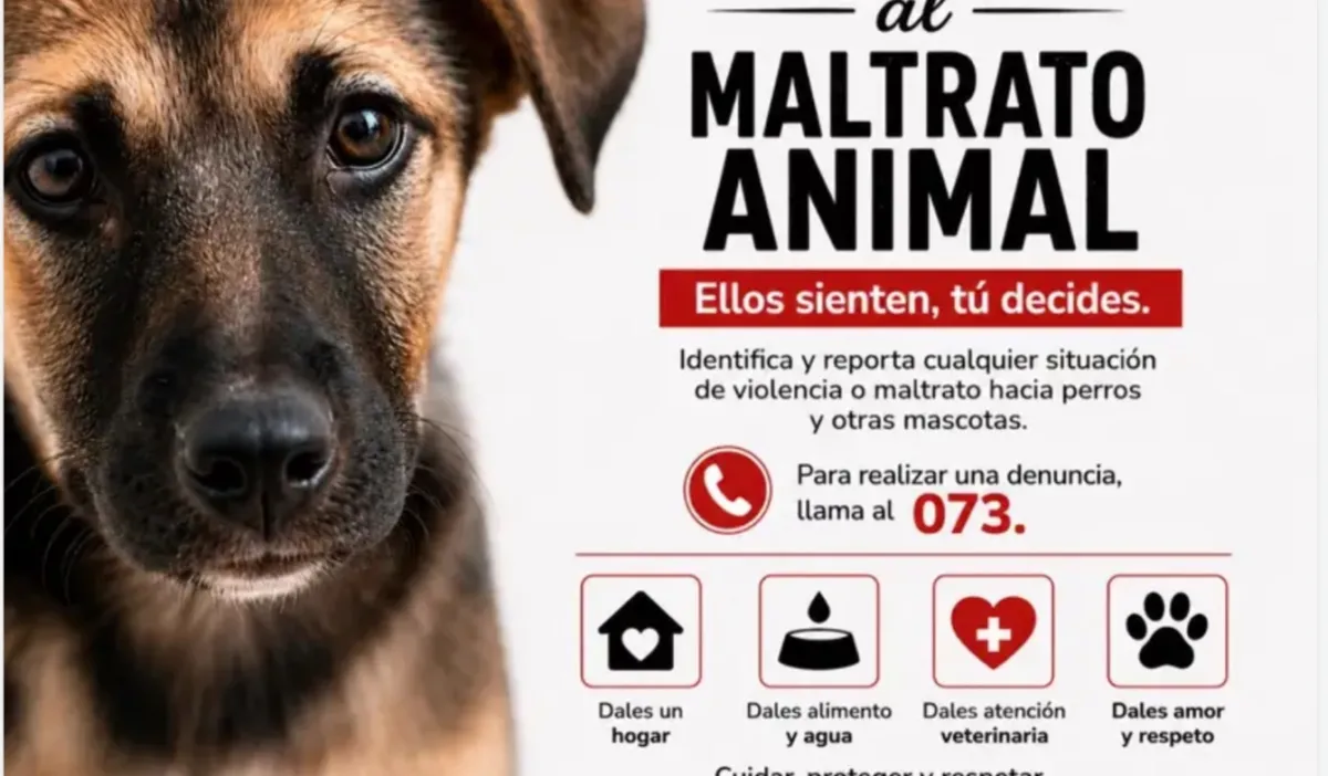 Piden reportar casos de maltrato y violencia contra mascotas en Torreón