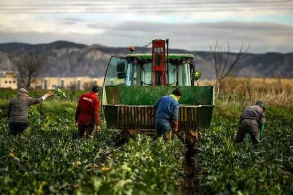 Conflicto en Irán provoca escasez de fertilizantes y amenaza precios de alimentos
