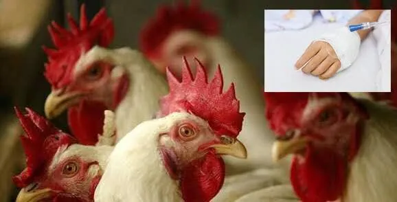 Muere Niña de 3 años contagiada de gripe aviar H5N1 en Coahuila