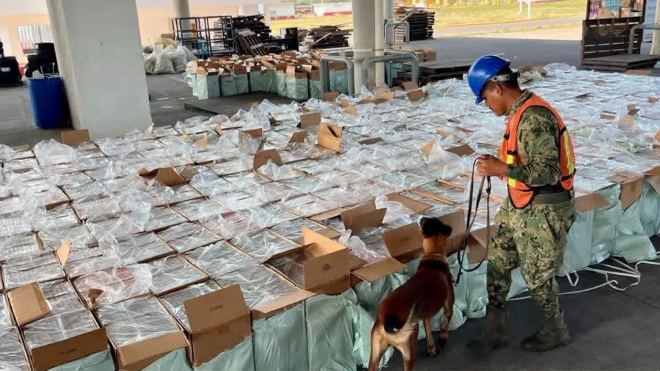 Decomisan casi 10 millones de cigarros apócrifos en Michoacán