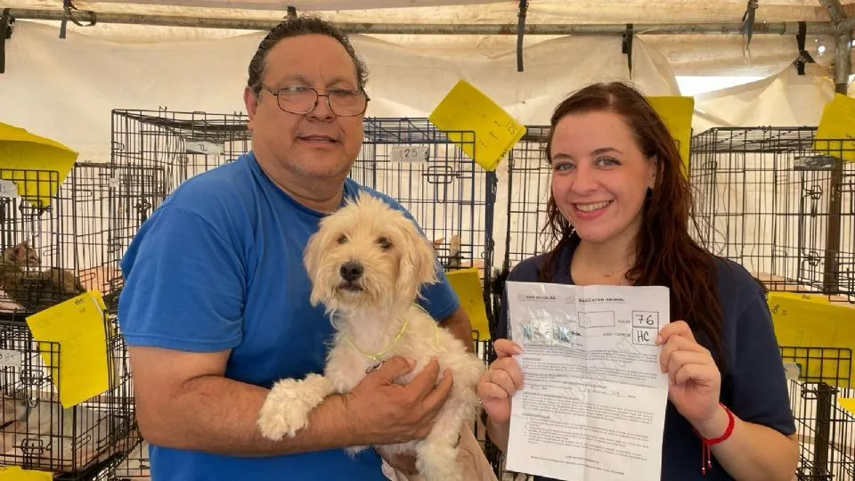 San Nicolás esteriliza gratuitamente a más de 200 mascotas para controlar la sobrepoblación animal