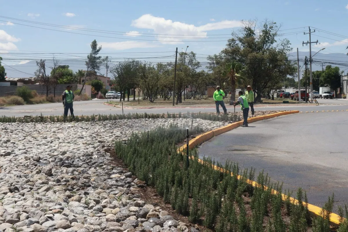 Mejoran entrada poniente de Saltillo con acciones del programa “Aquí Andamos”