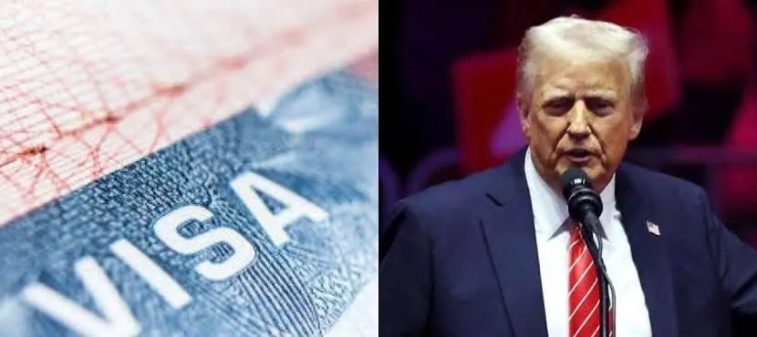 Estudiantes extranjeros demandan a Trump por revocar visas sin previo aviso