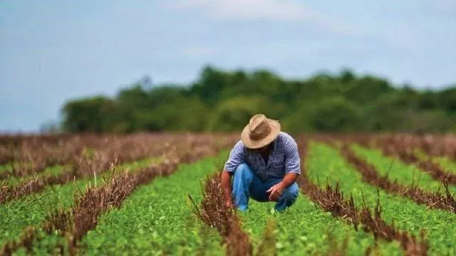 Agricultores alertan sobre posible “catástrofe alimentaria” por aranceles de Estados Unidos