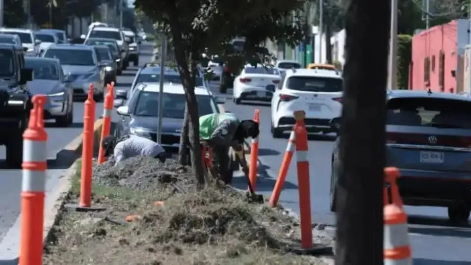 Obras en Alfonso Reyes alcanzan 80% de avance en San Pedro