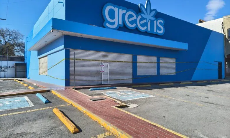 Saltillo alista reglas para negocios de cannabis