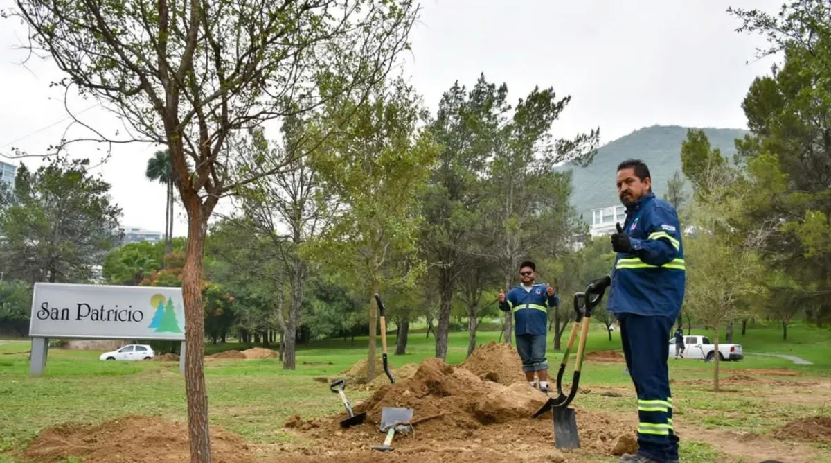 San Pedro inicia arborización en la colonia San Patricio con casi 30 árboles