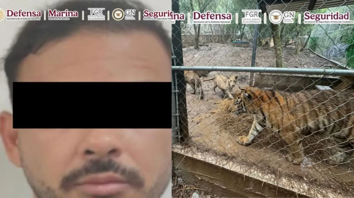 Confirman captura de presunto líder criminal ligado al Cártel del Noroeste en Nuevo León