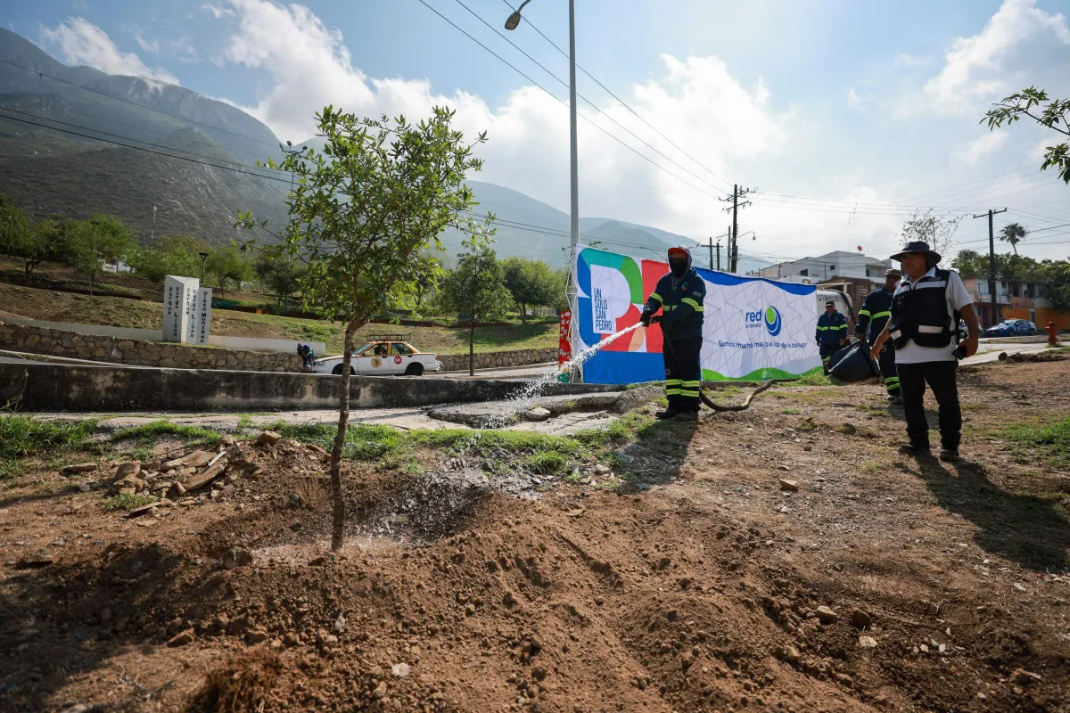 San Pedro impulsa reforestación en parque La Retama con apoyo de RED Ambiental