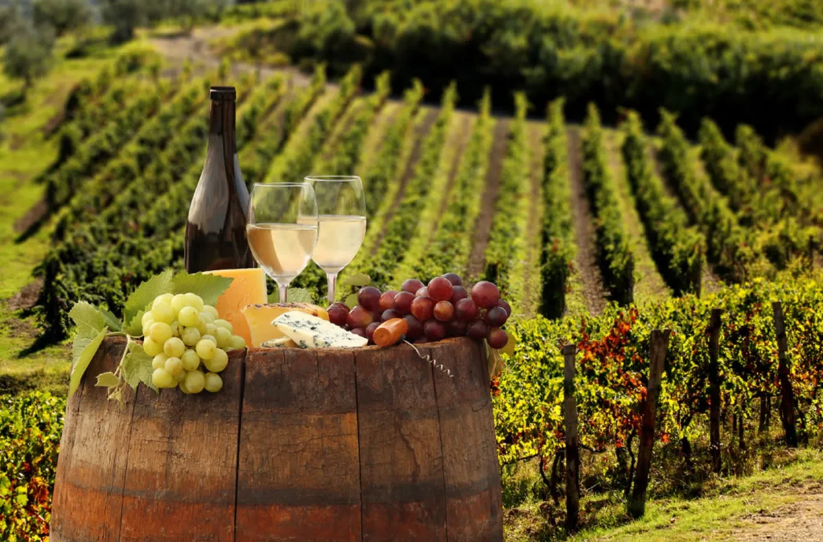 Ampliarán ruta “Vinos y Dinos” y sumará nuevos viñedos en la región sureste de Coahuila