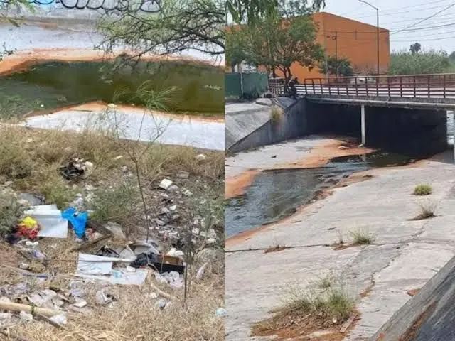 Derrame químico de Ternium en Apodaca deja animales muertos y preocupación entre vecinos