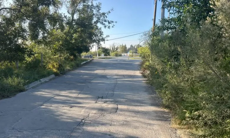 Hallan restos óseos en terreno baldío al norte de Saltillo