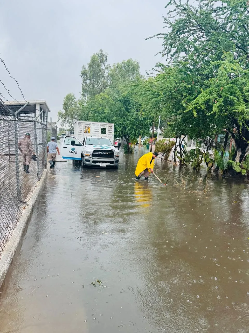 Fallas eléctricas afectan semáforos y desagües en múltiples sectores de Torreón