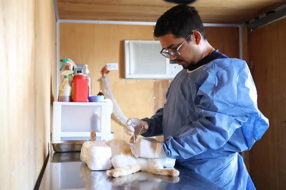 Realizan campaña de esterilización y salud animal en el Biblioparque Norte de Saltillo