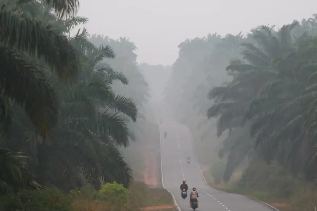 El Niño podría dejar hasta 451 mil muertes adicionales