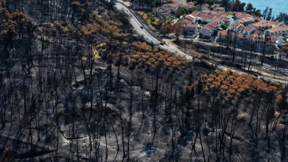 Incendio arrasa parque nacional de Pindos en Grecia
